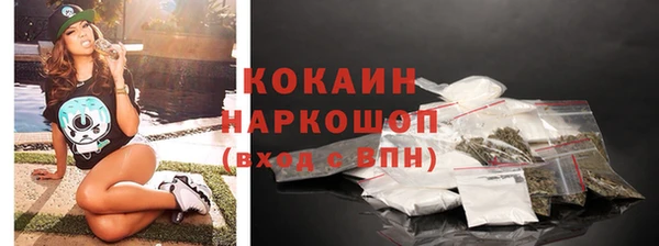 прущий лед Алзамай