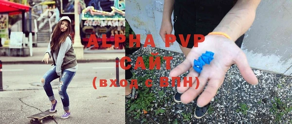 прущий лед Алзамай