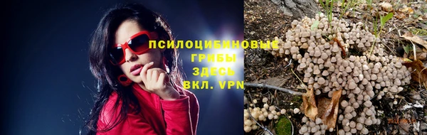 прущий лед Алзамай
